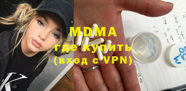 индика Весьегонск